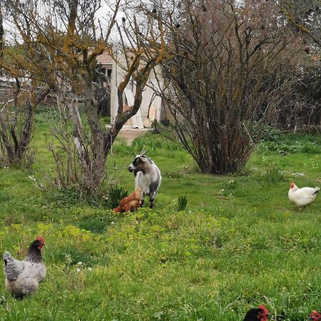 La Petite Maison Arles Eksteriør bilde