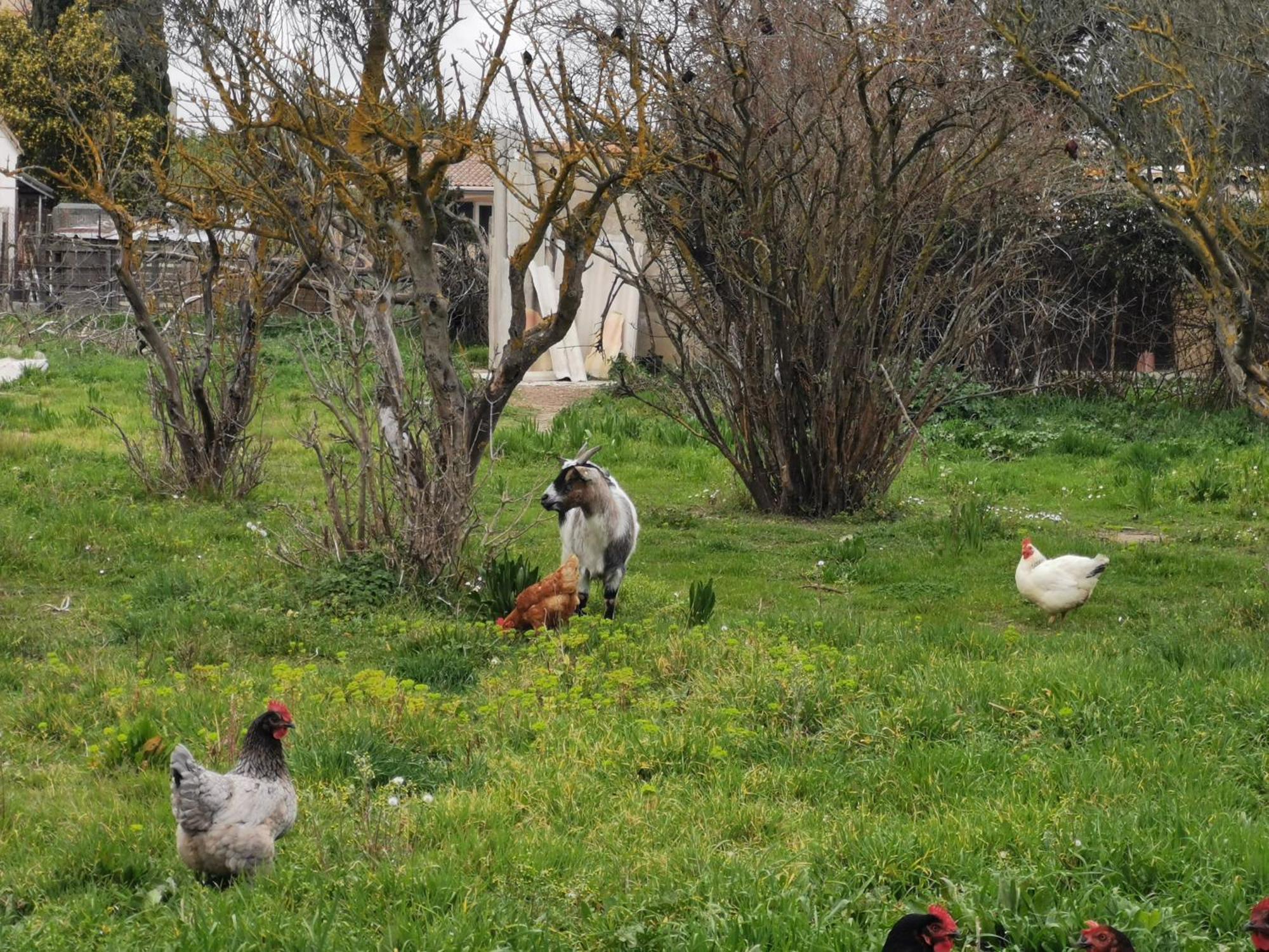 La Petite Maison Arles Eksteriør bilde